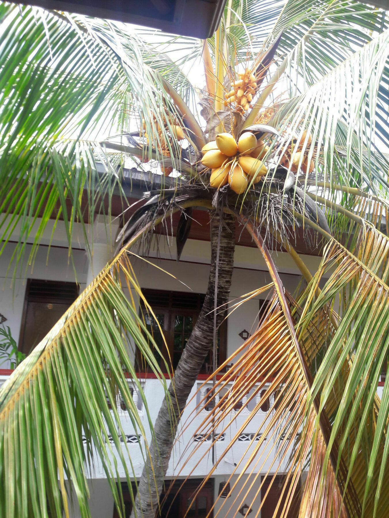 Happy Night Holiday Inn Unawatuna Exteriör bild