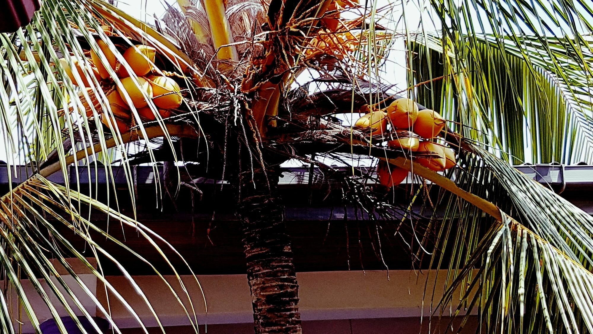 Happy Night Holiday Inn Unawatuna Exteriör bild